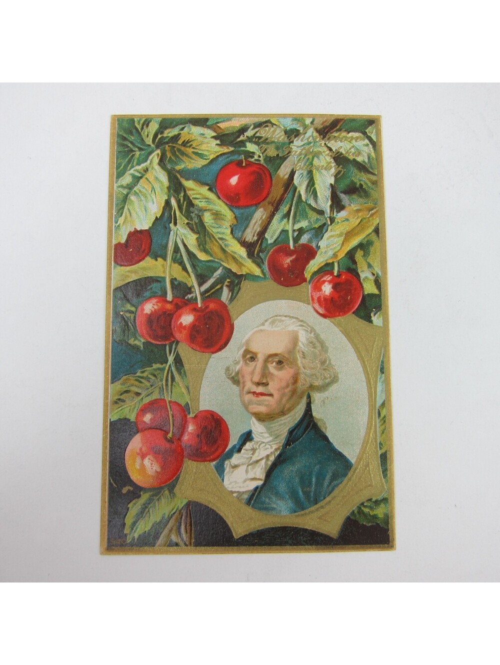Postcard George Washington Portrait & Cherry Branches Patriotic Embossed Antique